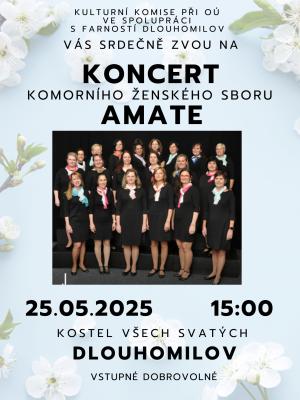 koncert